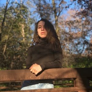 Deep Brown 100% Silk Long Sleeve Turtle Neck